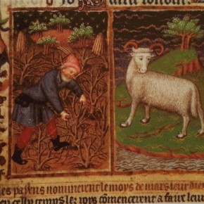 Happy New Year!  2015☆